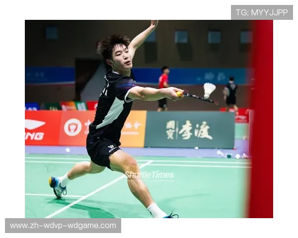 羽毛球轻重拍 羽毛球轻重拍