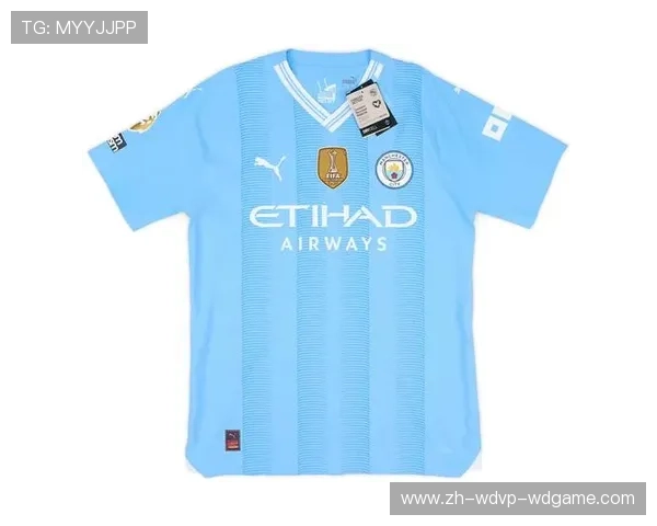 英超球衣销量与市场需求分析报告