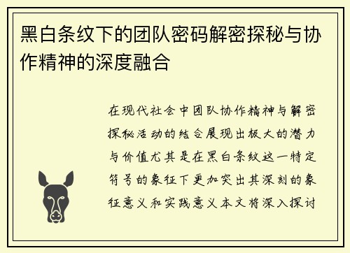 黑白条纹下的团队密码解密探秘与协作精神的深度融合